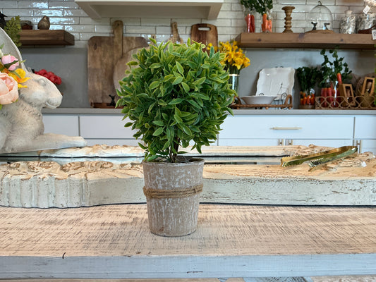 Thyme Ball Topiary in Handcrafted Pot - no photo