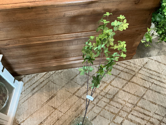 GRN STARRY LEAF SPRAY 49" 