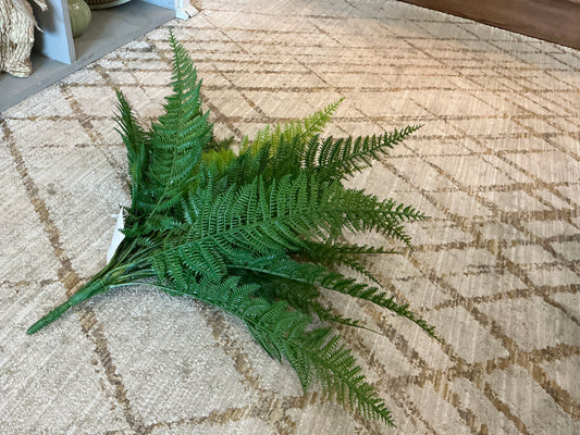Leather Fern Bush, 4 stem, 26 lvs ,27"W