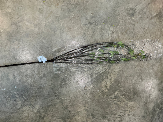 GRBR GREENING WILLOW TWIG SPRAY 38" 