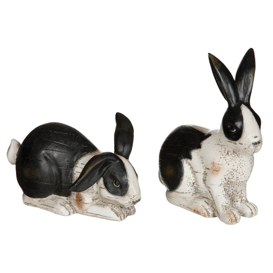 Black and White Rabbit