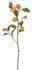 Golden Petite Pear Branch