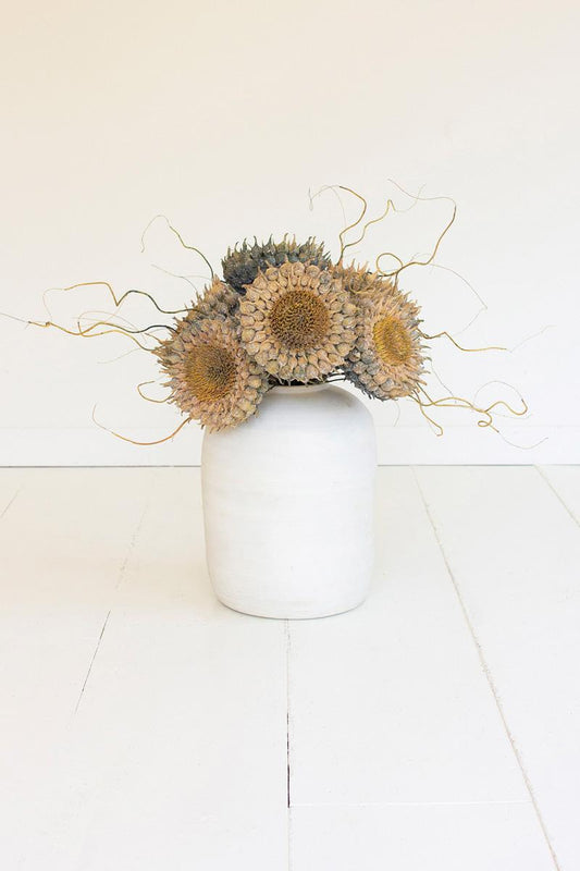 Sunflower Bud Pick